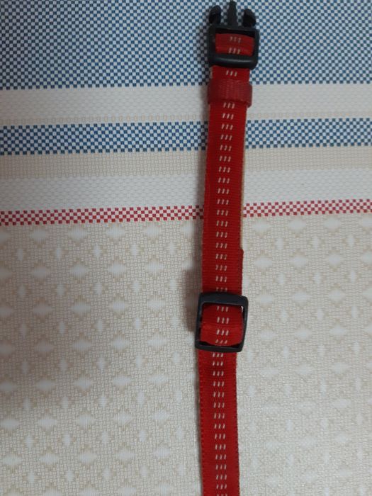 Vendo Coleira de Cão