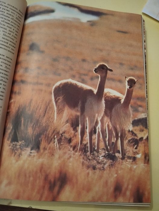 Давид Эттенборро Живая планета