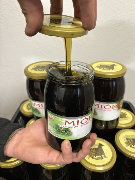 Miód Leśny 22zł wiadra/słoiki