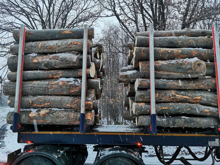 Drewno Opałowe Kominkowe Buk Grab Sezonowany Transport