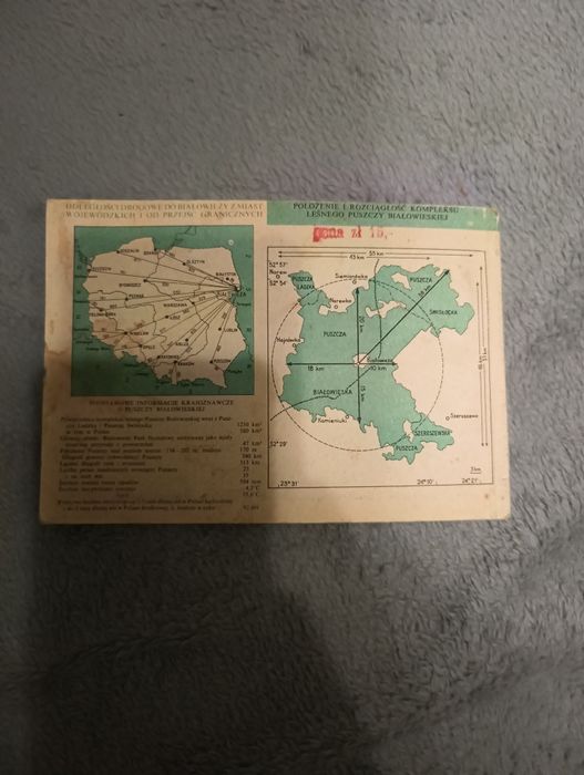 Trzy dni w Puszczy Białowieskiej