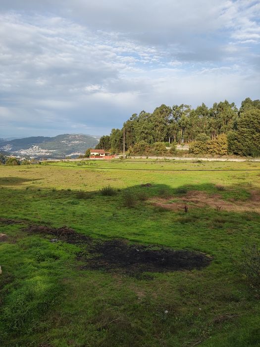 Arrenda-se Terreno Agrícola em Lustosa, Lousada – 22.000 m²
