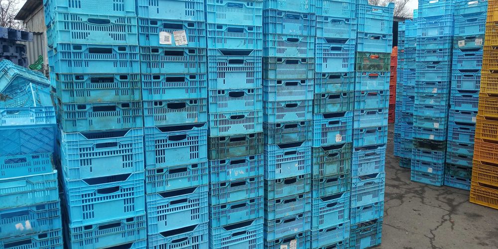 Куплю пластиковый ящик на переработку (мясной, пивной, цитрусовый тд)