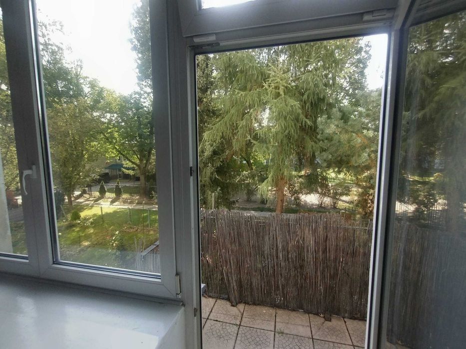 Zdjęcie 4