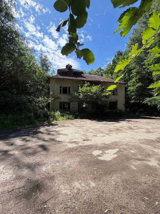 Продаж будинку в лісі