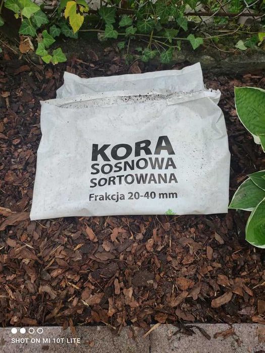 Kora sosnowa żwir ozdobny układanie kostki brukowej