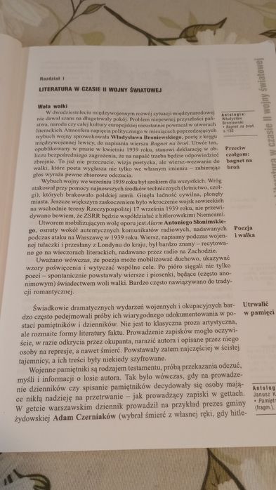 Literatura współczesna. Anna Nasilowska