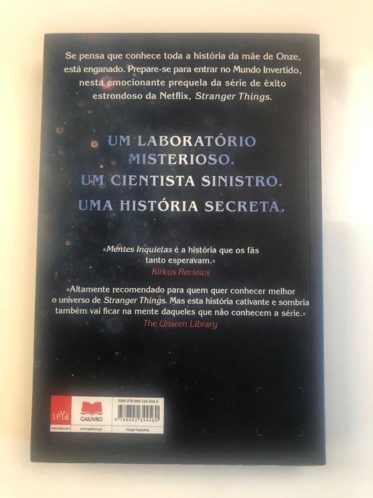 Stranger Things - Mentes Inquietas