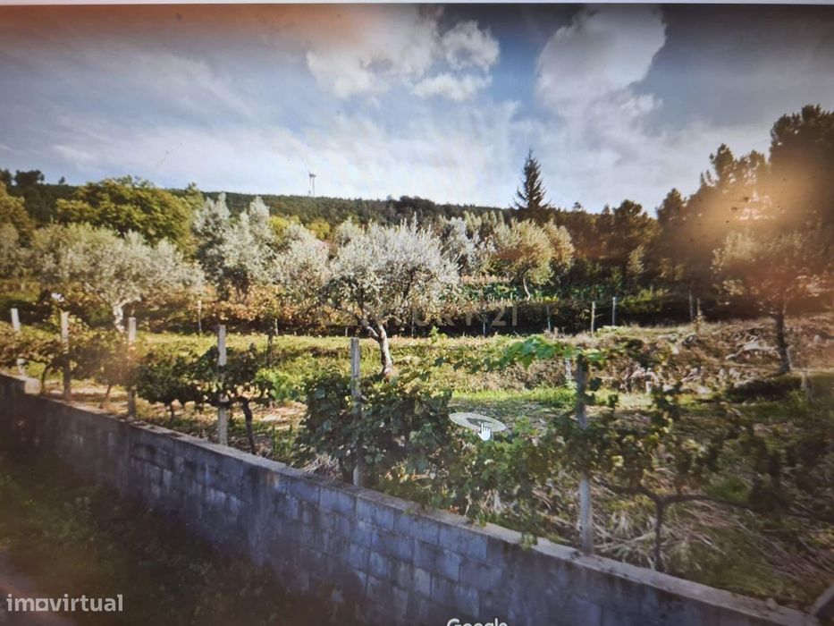 Terreno Rustico