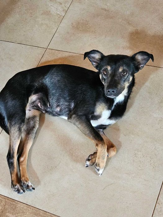 Sliczna,drobniutka Figa