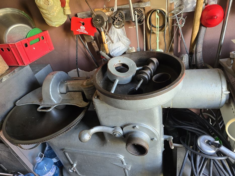 Kuter-wilk masarski.