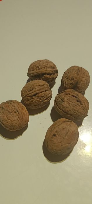 Włoskie smaczne tegoroczne