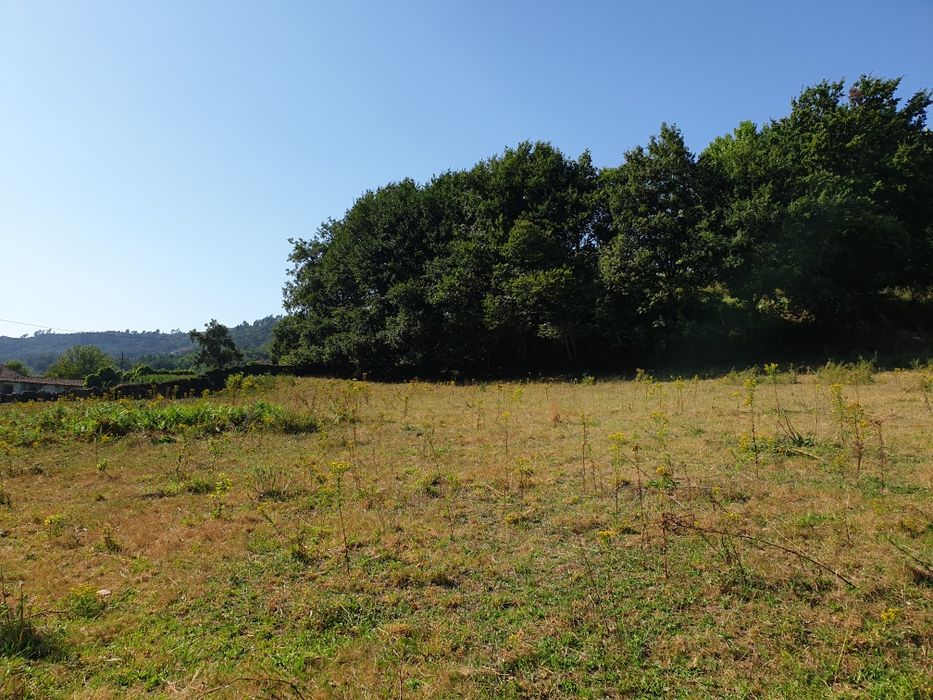 Campo com duas leiras encostado ao afluente do rio Ave