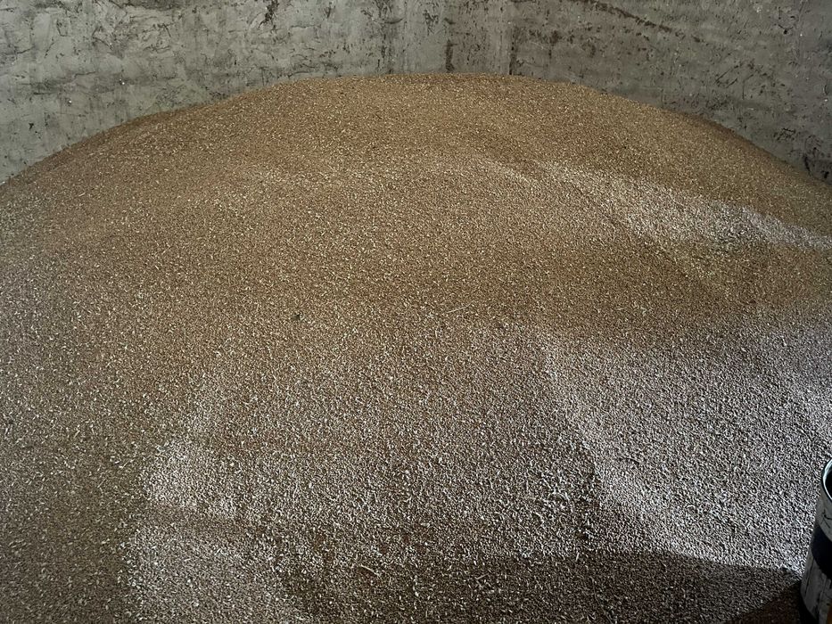 Pszenica dla kur niosek – pasza naturalna 100kg