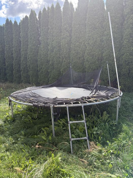 Trampolina Zipo Fitness