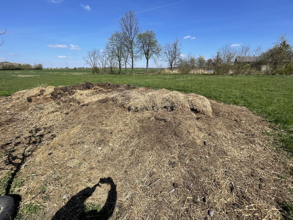 Sprzedam obornik koński 3 letni