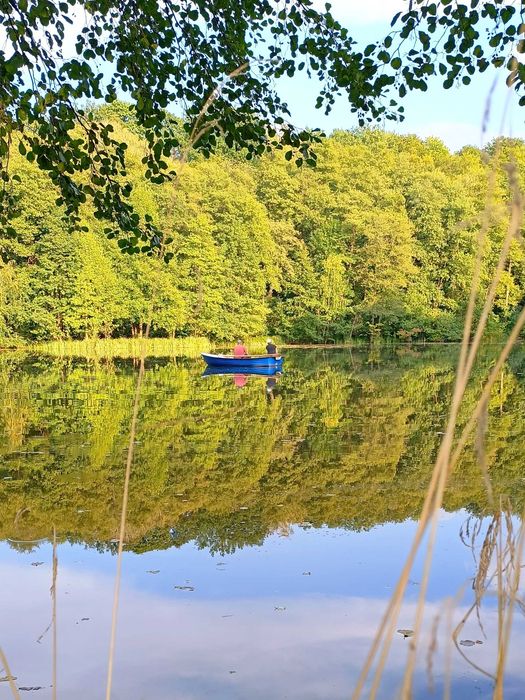 Nowoczesny domek na wynajem nad jeziorem z sauną i balią/jacuzzi; (pet friendly)