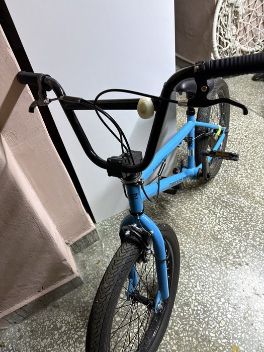 BMX CHecker Pig 20’