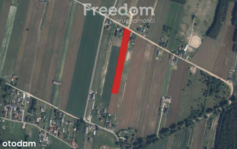 Działka blisko Siedlec 70 ar (część budowlana)