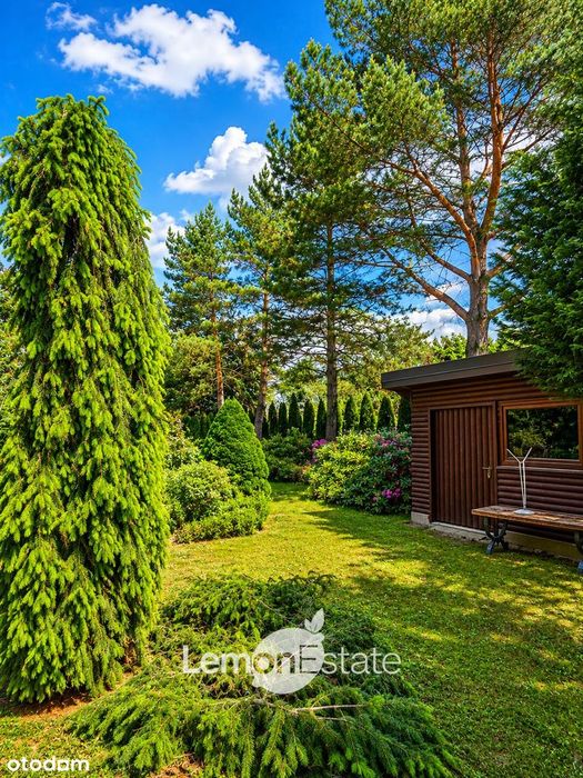 Dom 140 m² + 194 m² usług | 2144 m² działki | Plan na drugi budynek