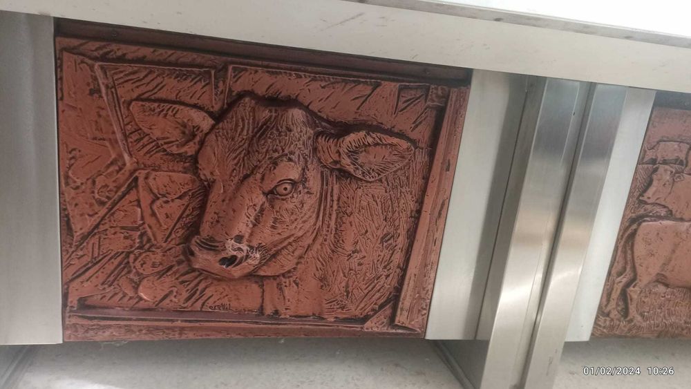 VENDO VITRINE FRIGORIFICA