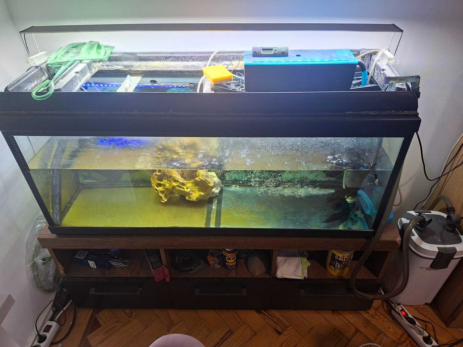 AQUÁRIO DE 250 L - Kit Completo