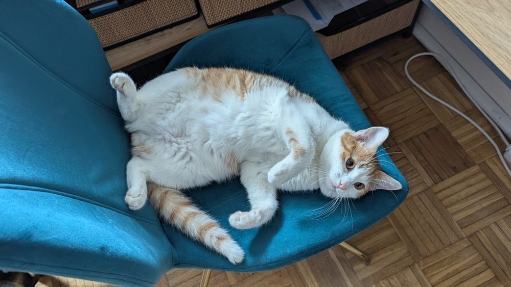 Wspólny dom poszukiwany!