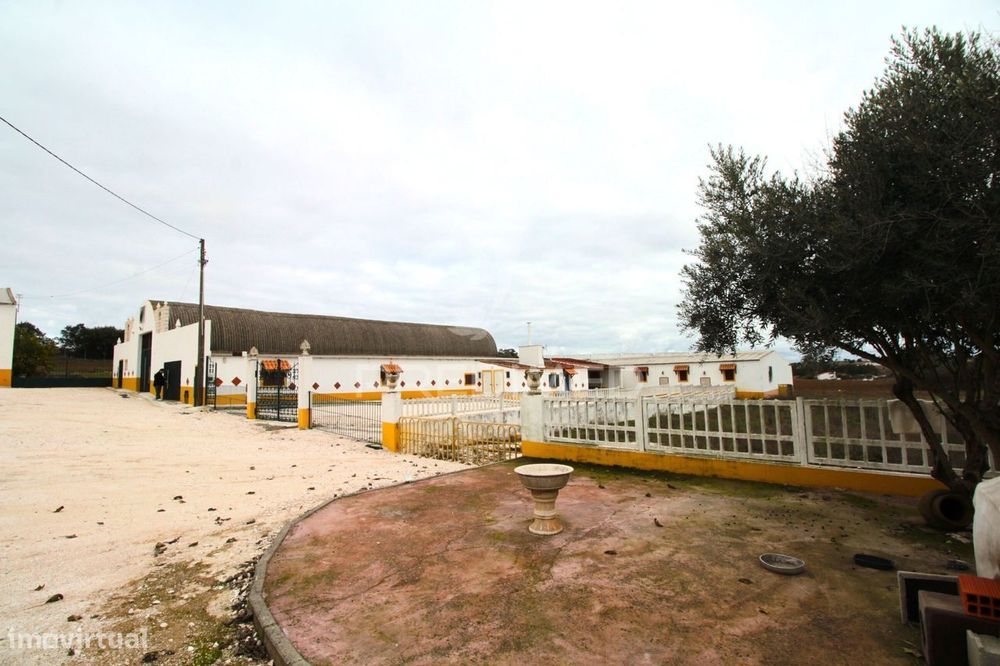 Terreno Urbanizável com 38.500 m² – Uma Oportunidade Exclusiva em S... — Sousel, Portalegre