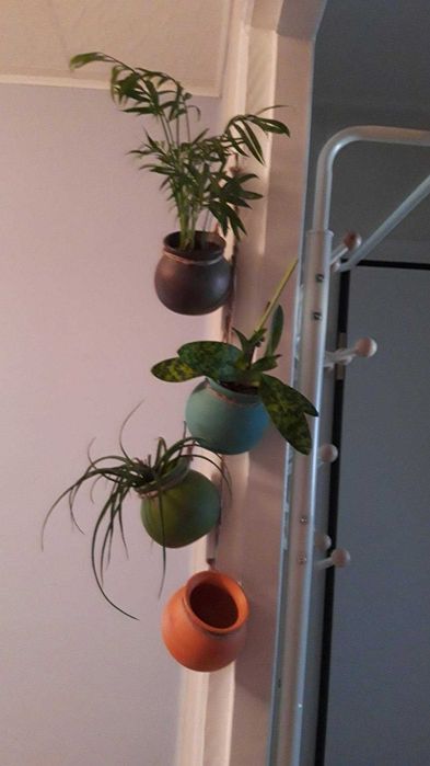 Zestaw wiszących doniczek na sznurku na taras balkon dekoracja
