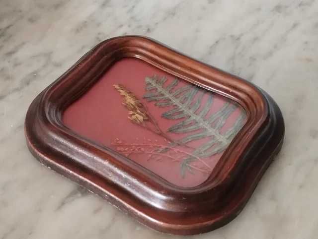 Botanical Frame / Picture Frame430626779379814401