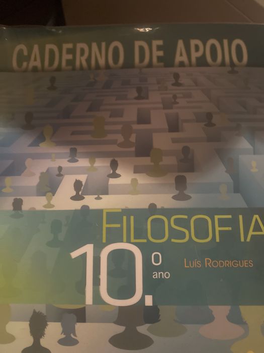 Cadernos de atividades de diversas disciplinas 10° e 11°
