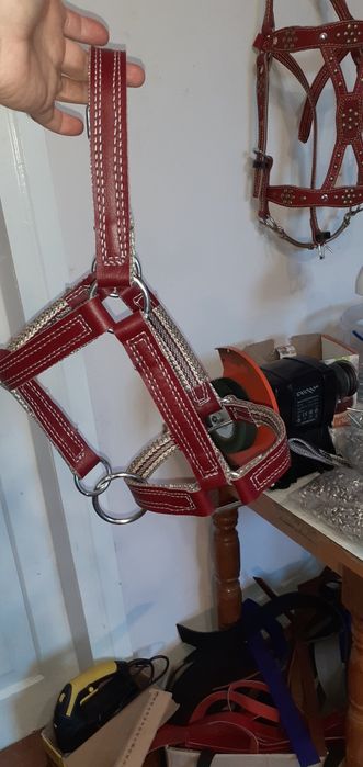 корове недоуздок кантар кантарка телёнку быку джерси голштын айширская