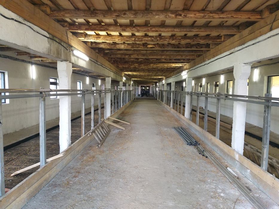 Кран вакуумний ДПР 02.140, кран вакуумный ДПР 02.140, доїльне обладнан