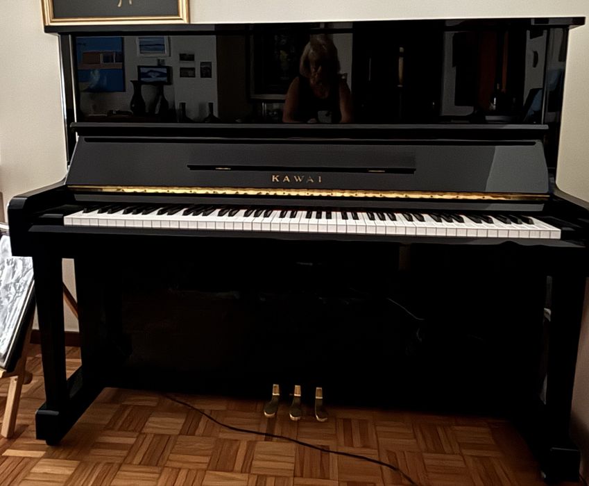 Instrumento musical _ piano