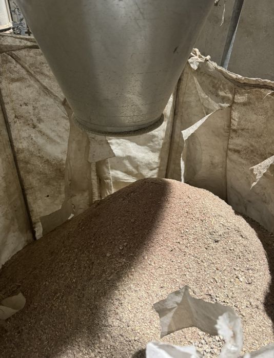 odpady kukurydziane z suszarni