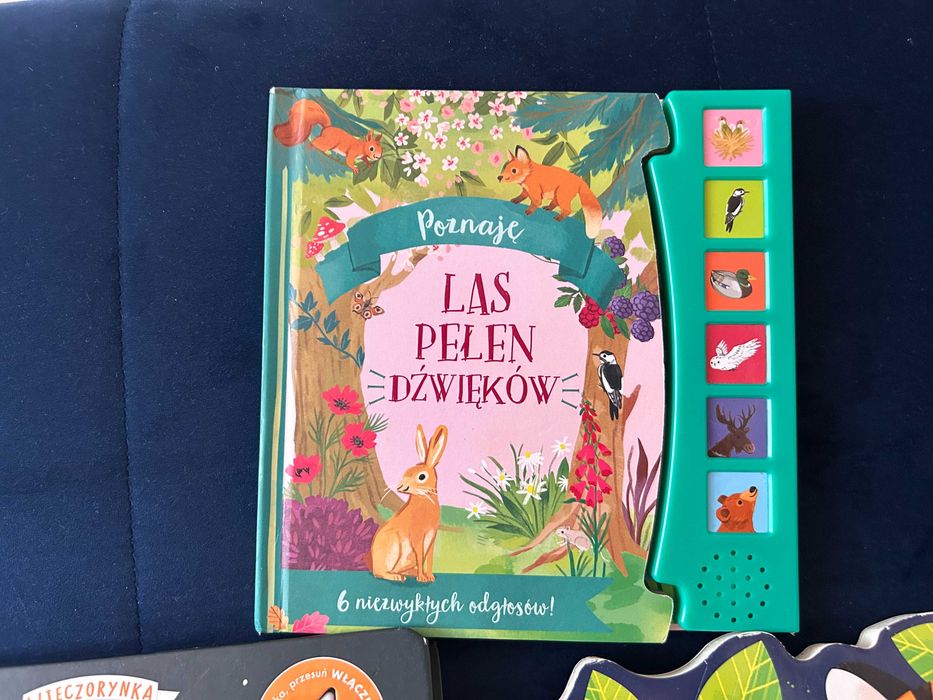 książki książeczki zestaw sensoryczne interaktywne gra świeci dotknij