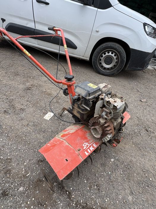 Frese como nova barata