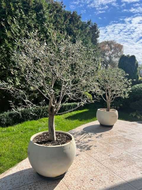 Будинок за адресою Куликове поле пл. (площа 387 м²) - Atlanta.ua - фото 5