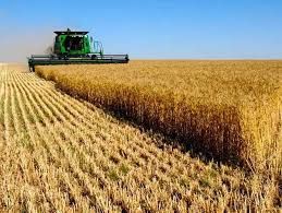 Продам фермерське господарство з ПДВ, ТОВ без ПДВ м.Миколаїв, м.Одеса