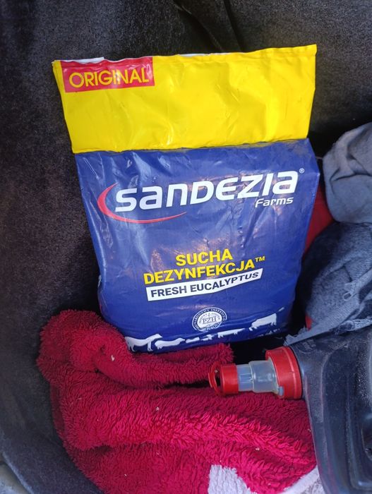 Sandezia dezynfekcja