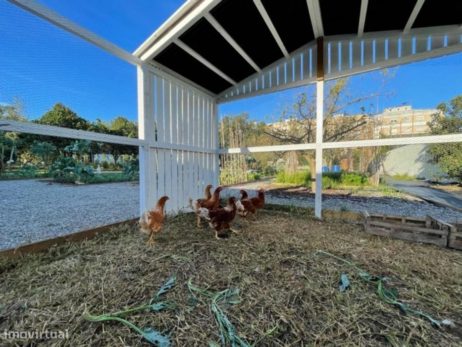 Quarto - localizado em Maia