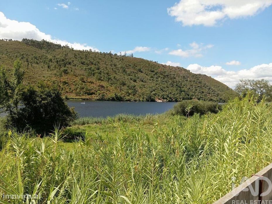 Terreno Agrícola em Belver