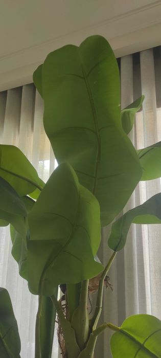 Planta artificial, de óptima qualidade, com aspeto de natural