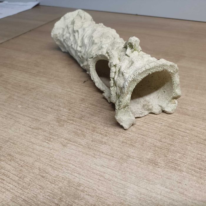 Grota maximus do akwarium