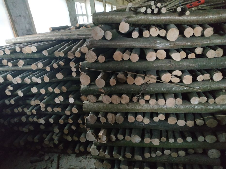 Колики з ліщини, ліщина, ліски, заробіток.