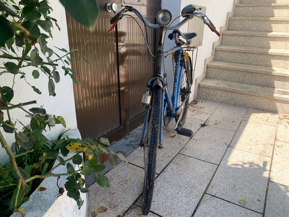 Bicicleta Royal Stella
