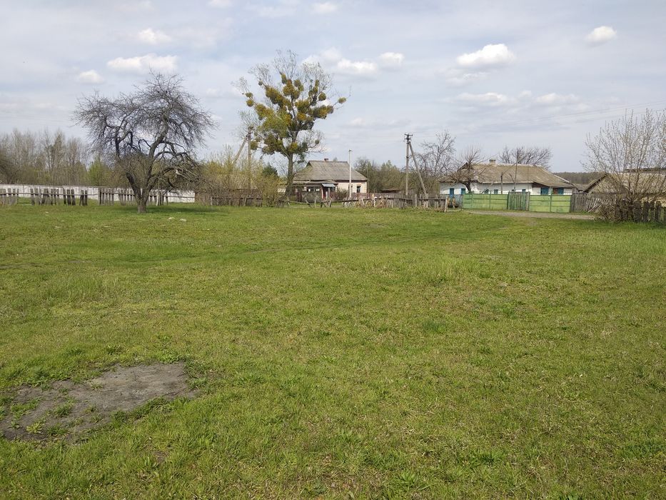 Продажа земельного участка в с.Андреевка (Вышгородский район)
