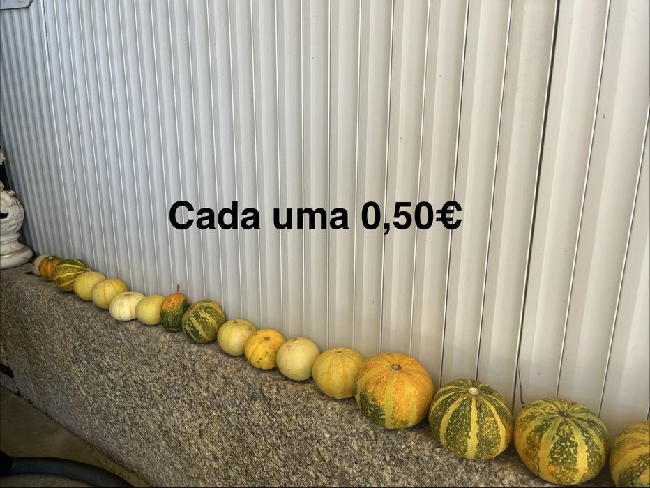 vende se aboboras e cabaças