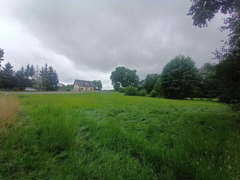 Dom – Popęszyce, powiat nowosolski - Widok 5