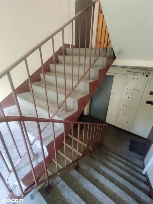 Zdjęcie 8